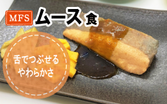 ＭＦＳムース食