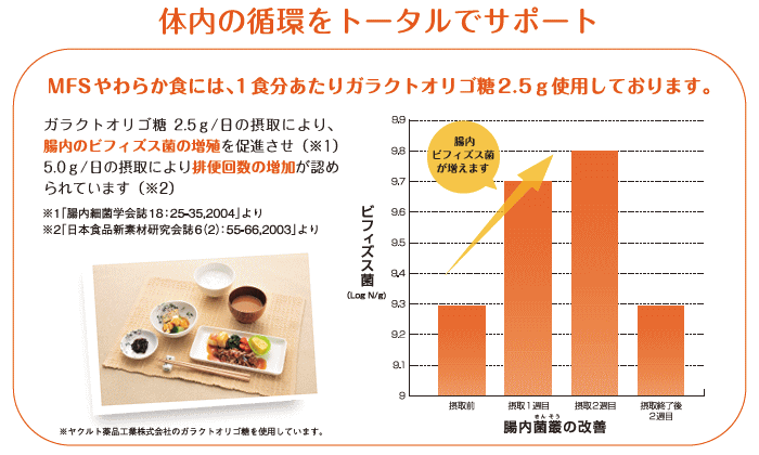 健康うちごはん 体内の循環をトータルでサポート